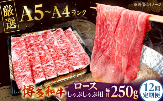 【全12回定期便】【数量限定 博多和牛】ロース しゃぶしゃぶ用 250g ▼ 牛肉 博多 和牛 極上 バーベキュー ブランド 国産 高級 高評価 特別 上質 桂川町/株式会社チクゼンヤ[ADBZ044]