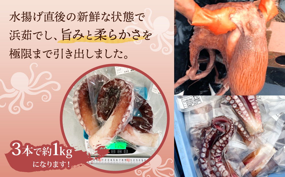 浜ゆでタコ足 1kg（水タコ)