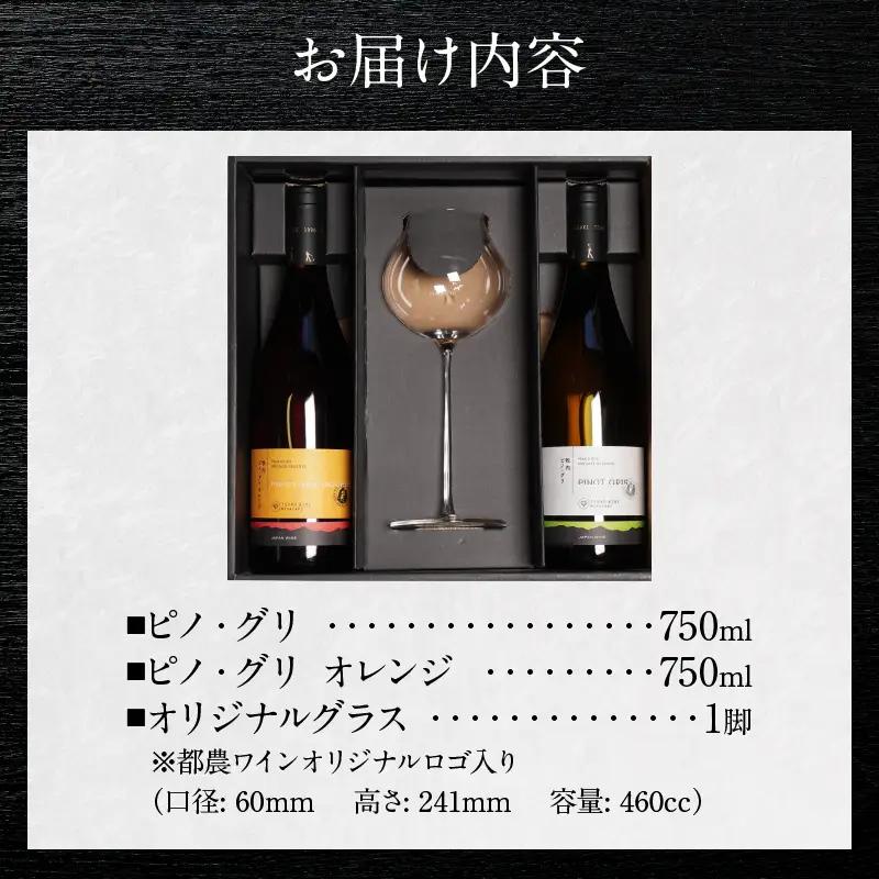 ≪数量限定≫都農ワイン ピノグリ2本&グラスセット 酒 飲料 アルコール 国産 ロナ_T014-0215