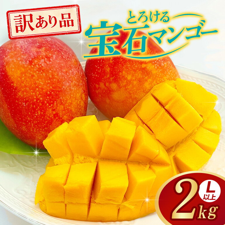 【ふるさと納税】 ぼうけんの国 宝石マンゴー 【訳あり品】アーウィンマンゴー 約2kg 国産 アーウィン マンゴー 訳あり 訳アリ 果物 南国 くだもの フルーツ 完熟 夏 旬 特産品 取り寄せ 産地直送 農家直送 甘い 濃厚 沖縄 うるま市 ku01-009