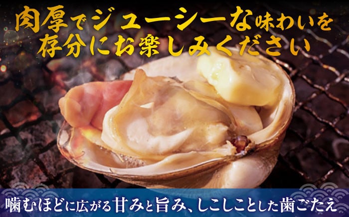 ほっき ほっき貝 ホッキ ホッキ貝 北寄貝 海鮮 冷蔵配送 北海道