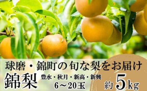 梨 先行予約 旬の梨 約5kg 6玉～20玉 豊水 秋月 新興 新高 錦町産 8月上旬より順次出荷 なし フルーツ 果物 デザート あきづき 配送不可：離島