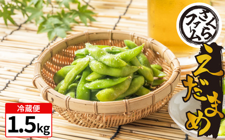 枝豆 1.5kg えだまめ 枝豆 枝豆