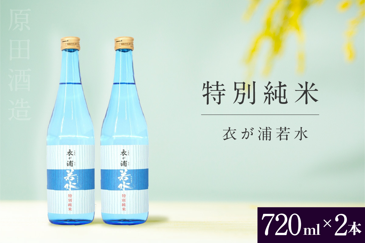知多半島東浦の地酒【衣が浦 若水】特別純米酒 720ml×2本 |日本酒 720ml×2本