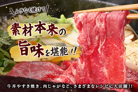 宮崎牛 切り落とし 800g すき焼き 焼き肉 炒め物 国産 牛肉 宮崎県産 4等級以上