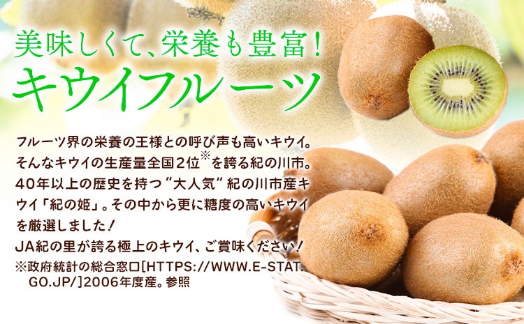和歌山県紀の川市産 キウイ約5kg ときわオンライン《12月下旬5月中旬頃出荷》 和歌山県 紀の川市 キウイ キウイフルーツ 果物 フルーツ 送料無料