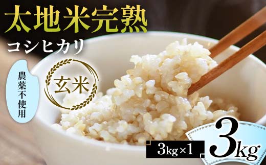2024年産 農薬不使用 太地米完熟 【こしひかり】 玄米 3kg ブランド米 お米 人気 F7X-0332