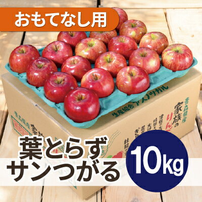 【ふるさと納税】【2026年9月発送予定】平均糖度12度以上! 葉とらずサンつがる 約10kg おもてなし用【配送不可地域：離島・沖縄県】【1607047】