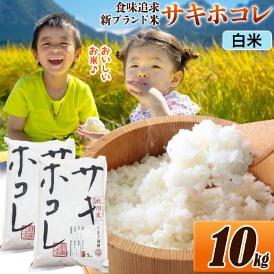ふるさと納税 大仙市 米 サキホコレ【白米】令和7年産 10kg|22_ssn-051001h