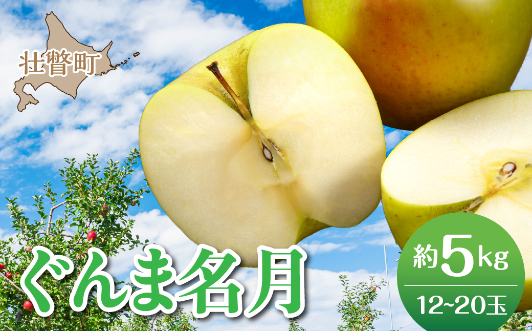 ★JAL限定★【先行予約】北海道壮瞥町産りんご「ぐんま名月」約5kg(12〜20玉)<2026年11月中旬よりお届け> SBTF013