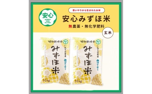 安心みずほ米 銀河のしずく 玄米 20kg（10kg×2袋）　【1763】