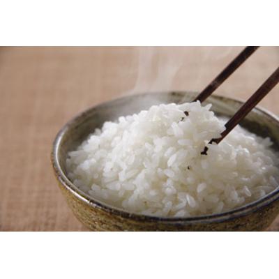ふるさと納税 焼津市 パパッとライス超やんわかこしひかり(200g×24入)(a17-108) |  | 02