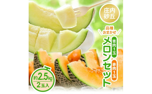 庄内砂丘 『青肉・赤肉メロン』セット　約2.5kg 計2玉(各1玉入) 品種おまかせ SA2933