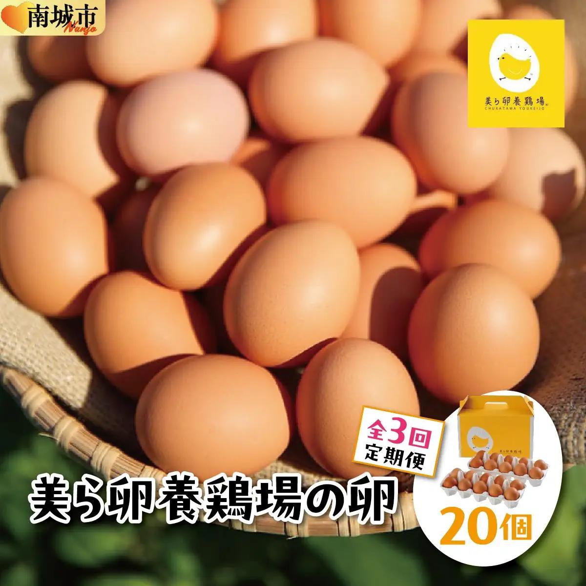 美ら卵養鶏場の卵 20個【3ヶ月定期便】   