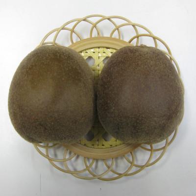 ふるさと納税 丸亀市 先行受付 さぬきエンジェルスイート 約1kg キウイフルーツ 香川県 丸亀市 発送11月上旬〜 |  | 02