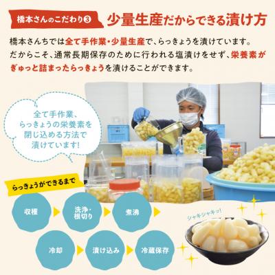 ふるさと納税 鳥取市 橋本さんちの砂丘らっきょう甘酢漬け 800g |  | 03