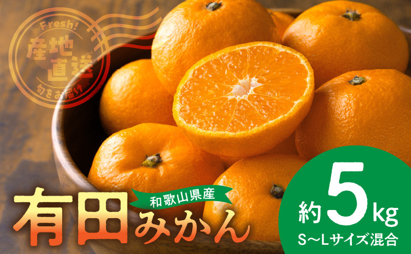 
                  【2026年先行予約】産地直送　和歌山県産 有田みかん 5kg_BL6500
                