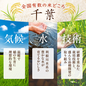 コシヒカリ 無洗米 令和7年産 千葉県産 コシヒカリ【5kg】【定期便2ヶ月】