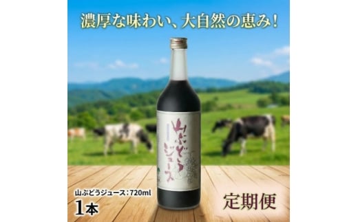 ＜毎月定期便＞山ぶどうジュース 720ml×1本全9回【4078892】