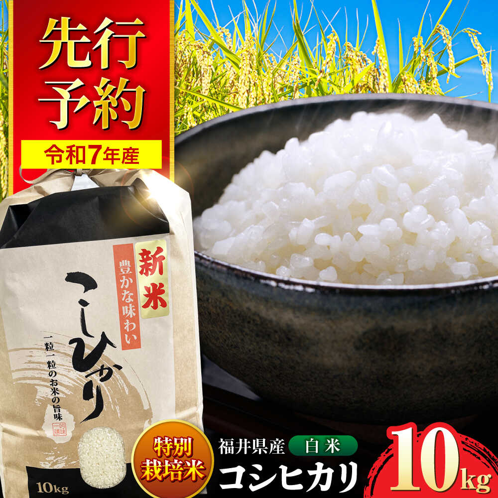 【ふるさと納税】【 先行予約 /9月中旬以降発送】　【令和7年産】 福井県産 特別栽培米4 コシヒカリ 白米 10kg / 米 お米 精米 国産米 / 小浜市 / 北川博司[BFDG002]
