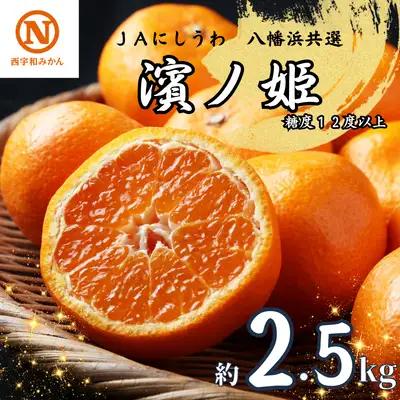【先行受付】JAにしうわの季節の柑橘(八幡浜共選「濱ノ姫」約2.5kg)【D08-76】 YWTV033