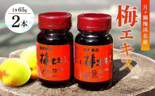 梅エキス６５ｇ×２本 無添加 青梅果汁のみ使用 月ヶ瀬梅渓名産月ヶ瀬梅渓名産 奈良県 奈良市H-91