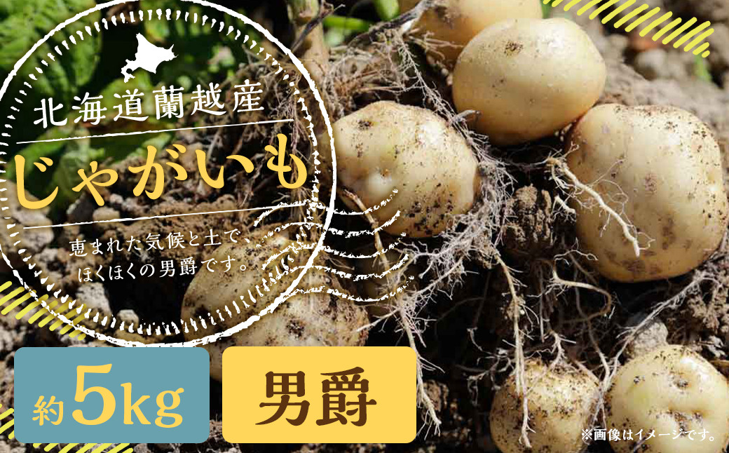
                  北海道 蘭越産 じゃがいも （男爵） 約5kg【2026年11月上旬~2027年4月上旬発送予定】野菜 5kg 男爵 ポテト 常温 北海道産 蘭越町
                