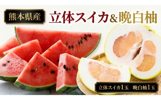 立体スイカ1玉＆晩白柚1玉セット