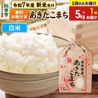 ふるさと納税 秋田市 先行受付 あきたこまち5kg【1回のみお届け】 白米|15_kml-210501hs