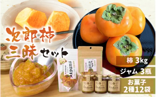 《先行予約》皇室献上品 次郎柿 三昧セット 百年柿園 ベル・ファーム 産地直送 生産者直送 農家直送 高糖度 愛知県 豊橋市 送料無料 39000円