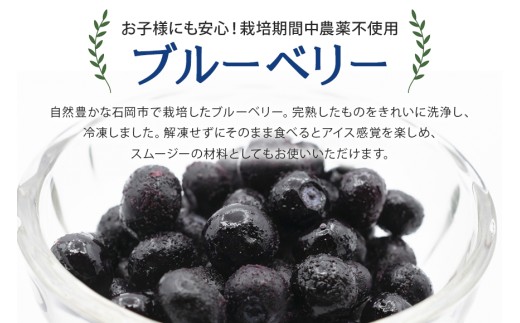 冷凍 ブルーベリー  普通1kg ダチョウ王国産 ( 1kg 1パック ) 完熟 1キロ 果物 フルーツ 国産 産地直送 農家直送 産直 くだもの スムージー ジャム ヨーグルト デザート 茨城 茨城