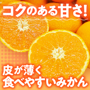 先行受付 2026年12月～発送 石地みかん 家庭用5kg 広島県呉市