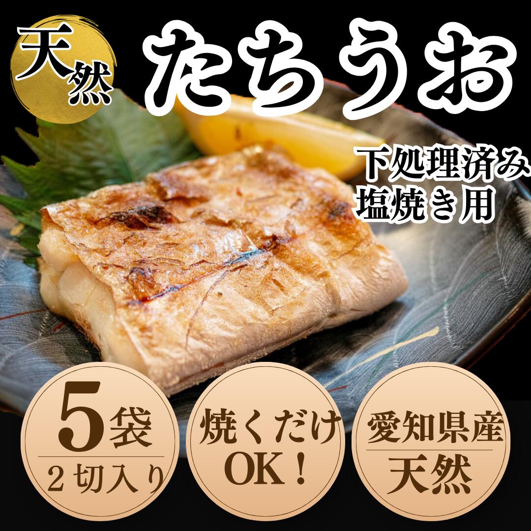 【ふるさと納税】 【南知多漁港直送】 天然 太刀魚 塩焼き用 2切×5袋セット 下処理済 急速冷凍 岬だより