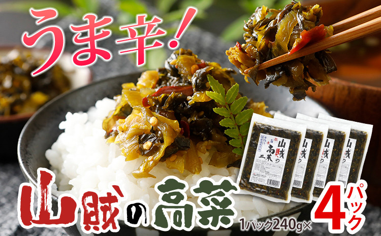 
                  辛子高菜 240g×4パック 山賊の高菜 からし高菜 メール便 ポッキリ お米に合う ご飯のお供 おつまみ 国産 無添加 お取り寄せ 福岡 お土産 九州 グルメ 福岡県
                