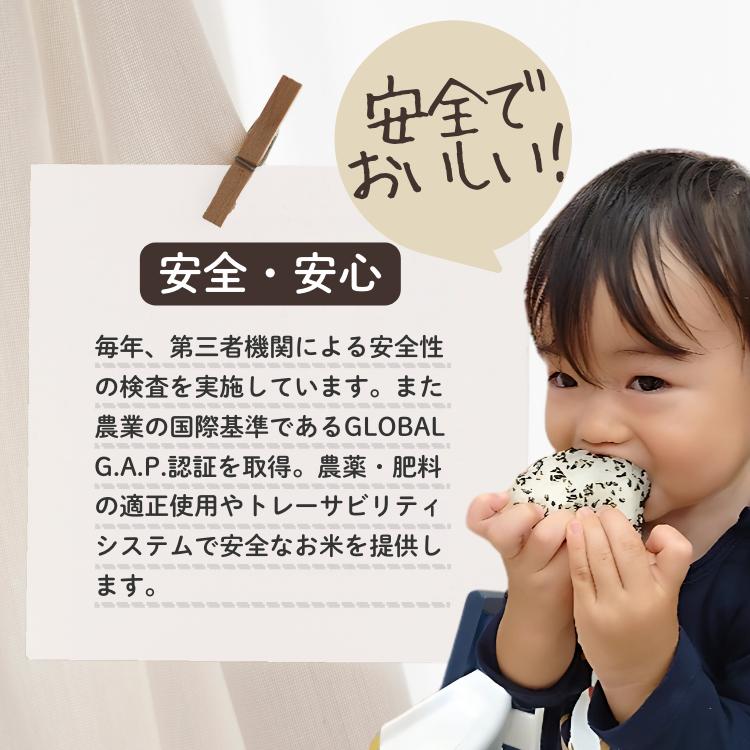 上越市産 新潟 コシヒカリ　5kg 上越市 精米 米 コメ こしひかり ブランド米