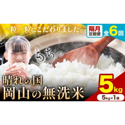 ふるさと納税 矢掛町 【隔月6ヶ月定期便】晴れの国岡山の無洗米 5kg 矢掛町《申し込み翌月から1か月おきに発送》