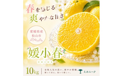 【知る人ぞ知る】 驚きの甘さ 【媛小春】 10kg 愛媛県産 【2027年1月下旬頃から順次発送】 | みかん ミカン mikan 蜜柑 訳ありフルーツ 柑橘 果物 おすすめ お勧め お取り寄せ ギフト 愛媛県 松山市