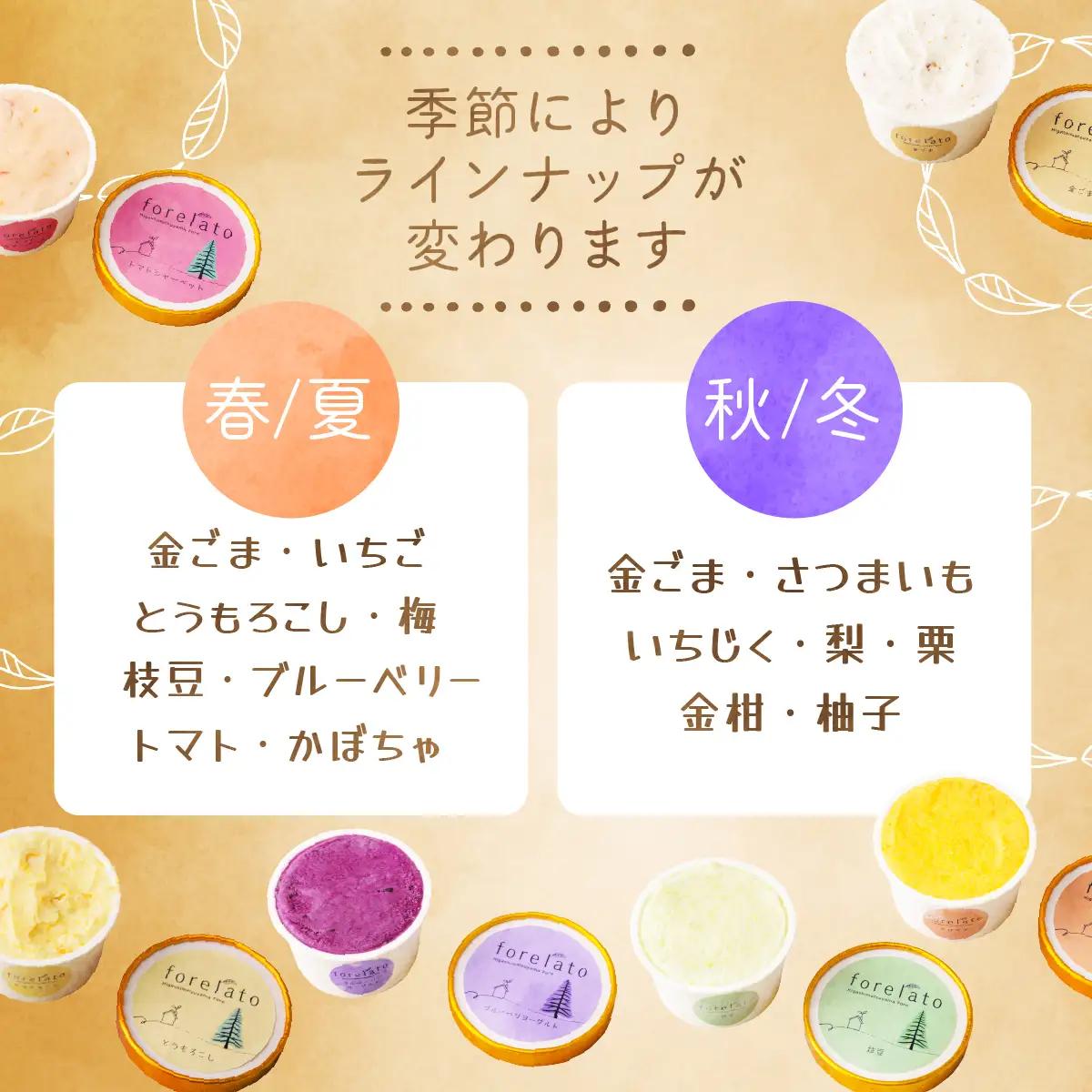 ジェラート 季節のforelato 6個セット | ジェラート 埼玉県 東松山市