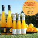 【ふるさと納税】和泉みかんとワイン3本(180ml)と2本(375ml)セット【1498031】