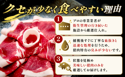 イノシシ肉　味噌すき鍋セット 約500g【冬猪肉 ロース 200g 夏猪肉 モモ 200g 肉 猪肉 いのしし肉 イノシシ肉 鍋 すき鍋 ぼたん鍋 味噌 みそ ミソ ジビエ鍋 冷凍 真空パック】