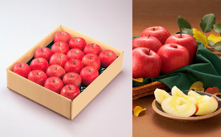 山形市産 ふじりんご 5kg(18～20玉) FZ19-428