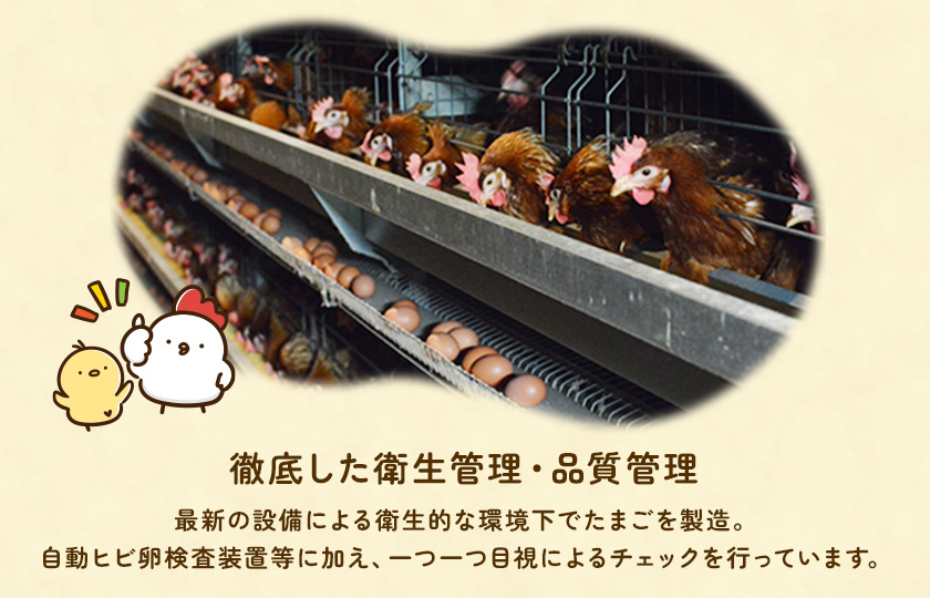 【定期便6回】九十九里ファームこだわりたまご贈答用30個～あおい海・みどりの里～《赤玉》 ／ たまご 卵 玉子 タマゴ 生卵 卵かけご飯 鶏卵 30個 定期便 6回