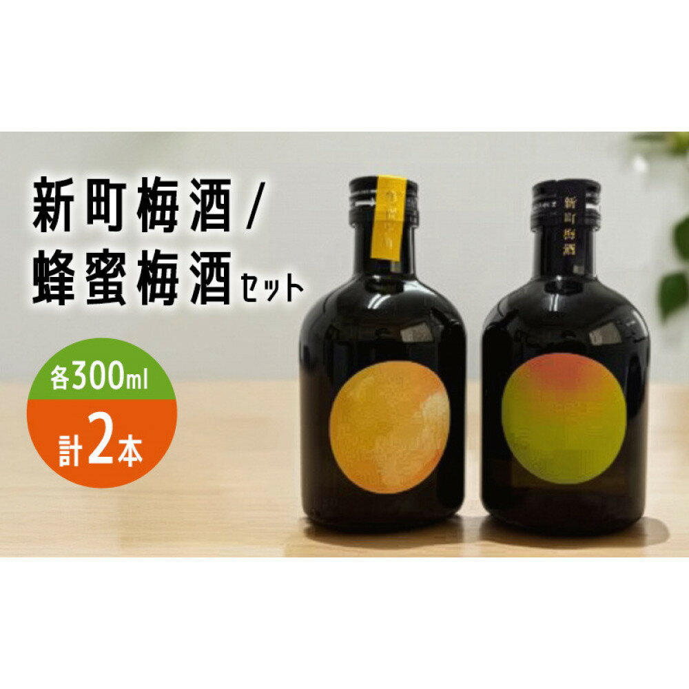 【ふるさと納税】新町梅酒/蜂蜜梅酒セット お酒 リキュール 飲み比べ 晩酌 長野県