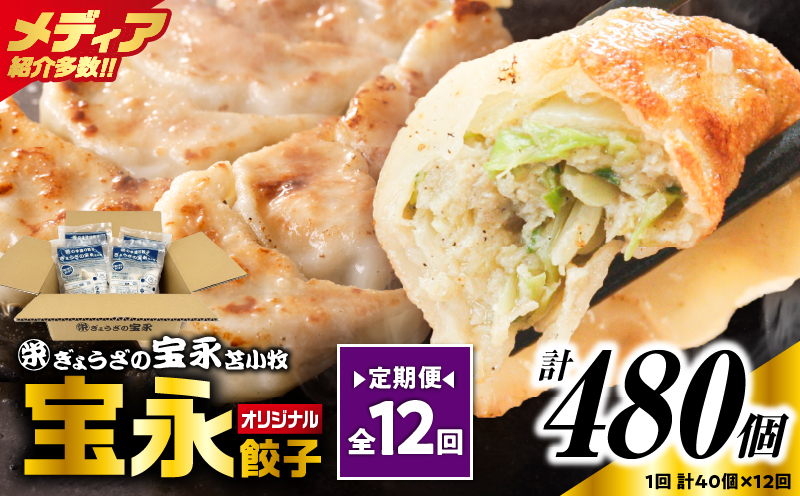 【全12回定期便（毎月）】宝永餃子10個入セット（宝永餃子10個入×4袋）合計1.0kg　T004-T03-05