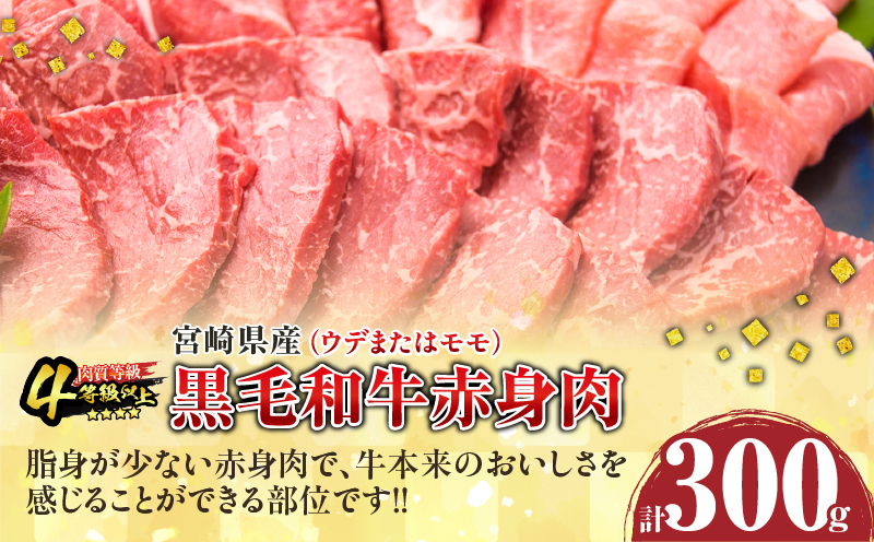 【お中元・夏の贈り物】数量限定 黒毛和牛 赤身肉 豚焼肉 食べ比べ セット 合計800g 肉 牛肉 豚肉 国産 ウデ モモ 豚ロース 肩ロース おすすめ おかず お弁当 食品 BBQ バーベキュー キ