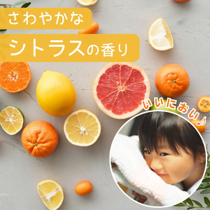 洗濯洗剤 サンブライト 12kg (1.2kg×10個) | 洗濯洗剤 洗濯洗剤 洗濯洗剤 洗濯洗剤 洗濯洗剤