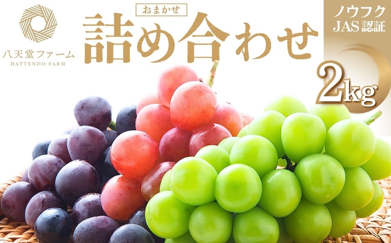 
                  八天堂ぶどう園 おまかせ詰め合わせ 家庭用 2kg ノウフクJAS認証【ぶどう フルーツ シャインマスカット 瀬戸ジャイアンツ ピオーネ 藤稔 ゴルビー ブラックビート グロスクローネ 長野パープル クインニーナ】※2026年8月中旬頃～9月下旬頃に順次発送予定
                