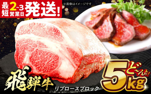 飛騨牛 極上 リブロース ブロック 5kg 多治見市 / 養老ミート 飛騨牛 牛肉 和牛 冷凍 和牛 ギフト [THG015]