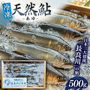 【ふるさと納税】【世界農業遺産】清流長良川 天然鮎(冷凍) 500g 10月〜12月申込 産地直送 新鮮 あゆ 岐阜市/SONAMU[ANEX002]