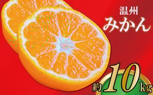 【2026年11月上旬より順次発送】【極撰】みかん 香川 温州みかん 約10kg フルーツ 果物 柑橘 柑橘類 デザート おやつ 旬 産地直送 冬の味覚 旬の果物 旬のフルーツ お取り寄せ 取り寄せ 送料無料 温州ミカン ミカン 蜜柑